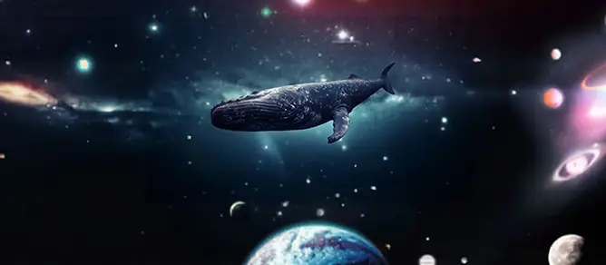 Premier portfolio web immersif en HTML, CSS et JavaScript sur le th&egrave;me de l&rsquo;espace